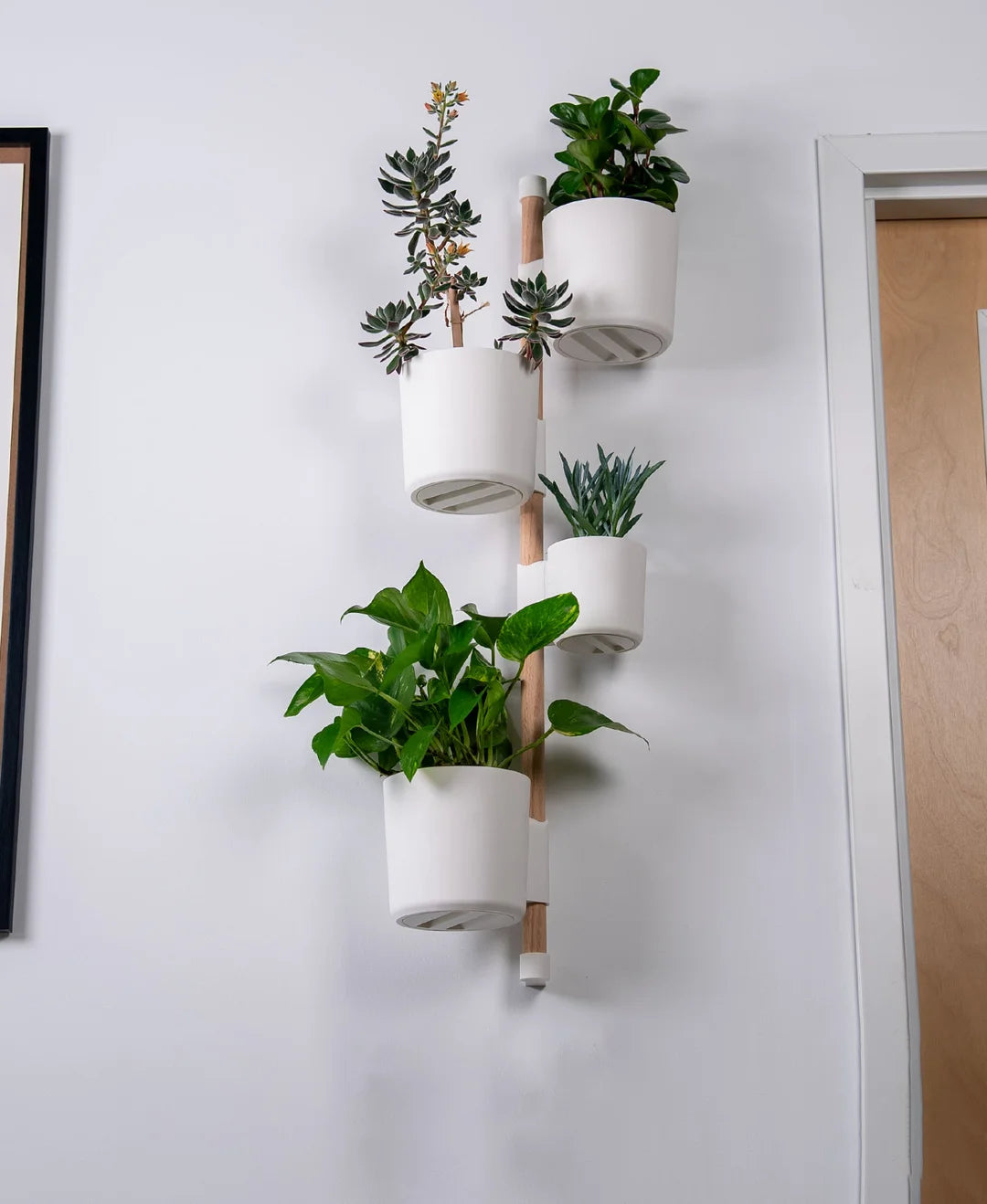 Combo Organizador de Pared con Macetas 3D