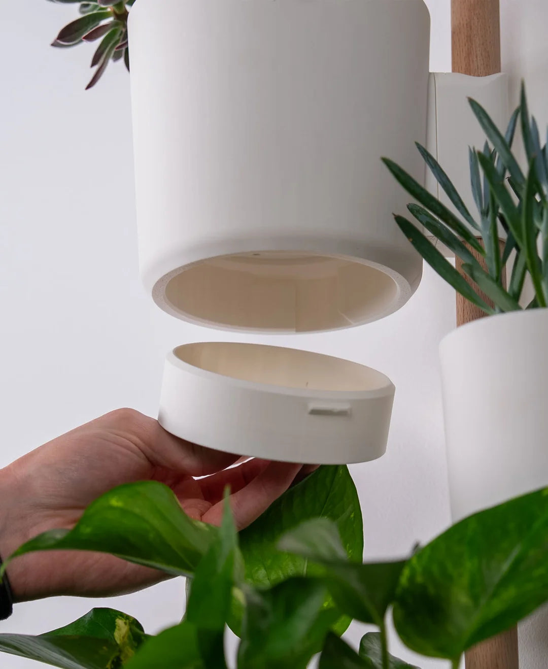 Combo Organizador de Pared con Macetas 3D