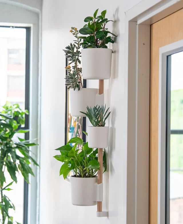 Combo Organizador de Pared con Macetas 3D