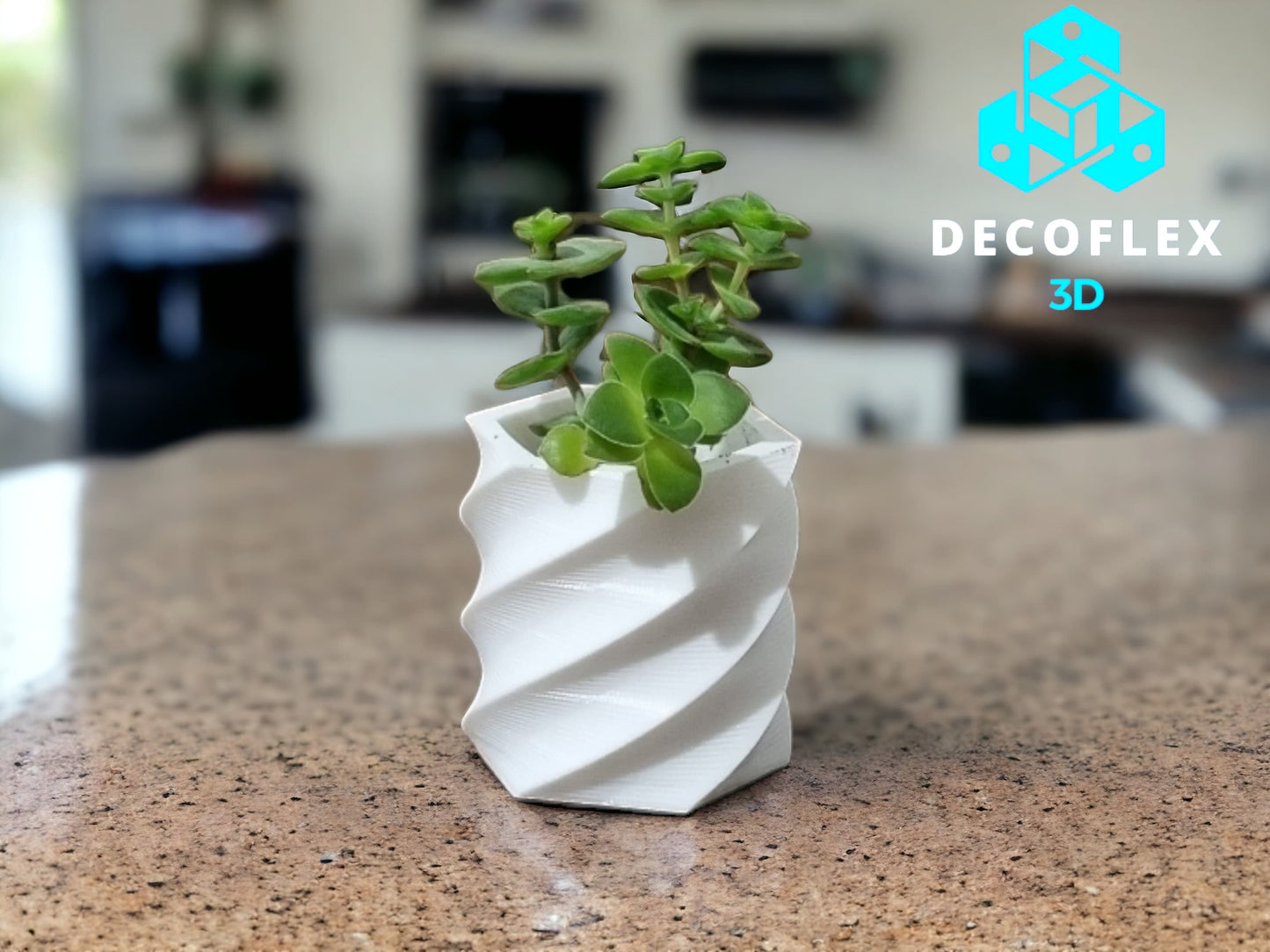 Maceta Decorativa DecoFlexito Espiral