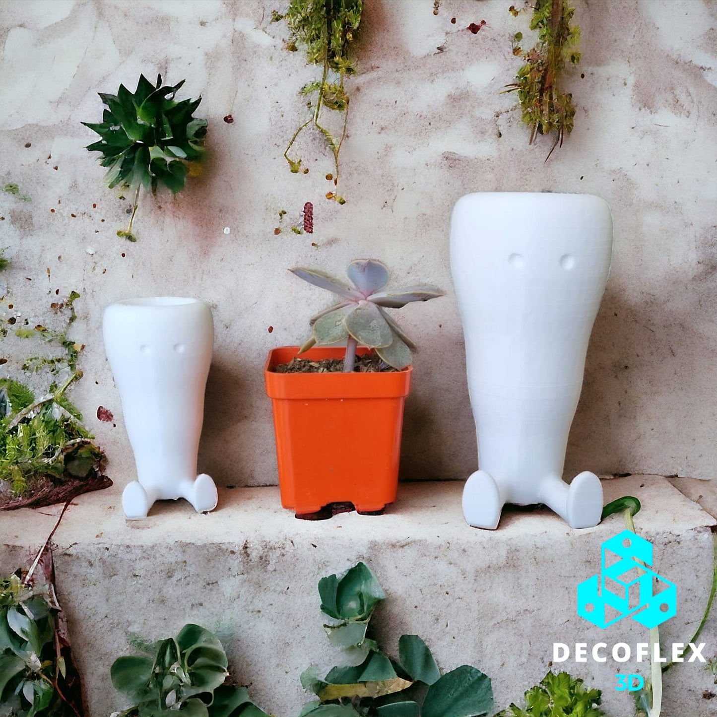 Maceta Decorativa DecoFlexito Zanahorias