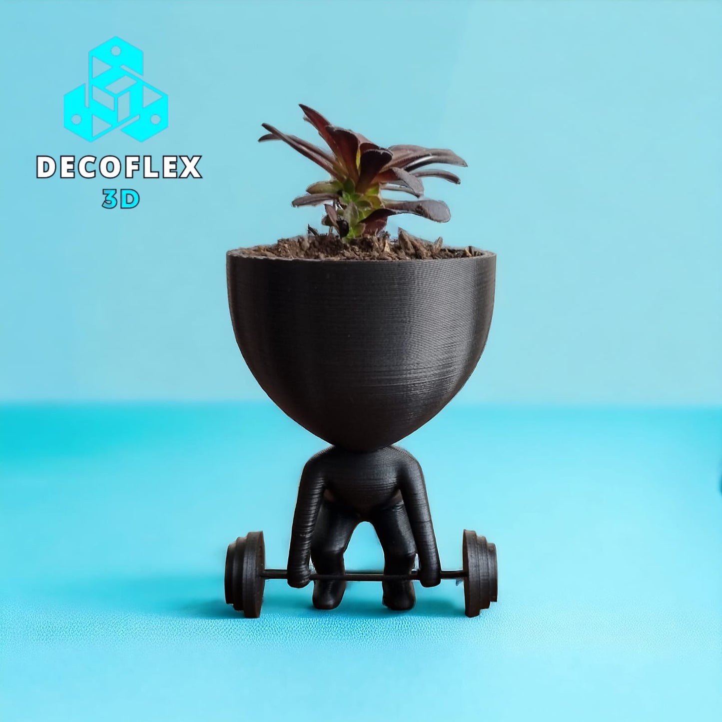 Maceta Decorativa DecoFlexito Gym Barra Pesas