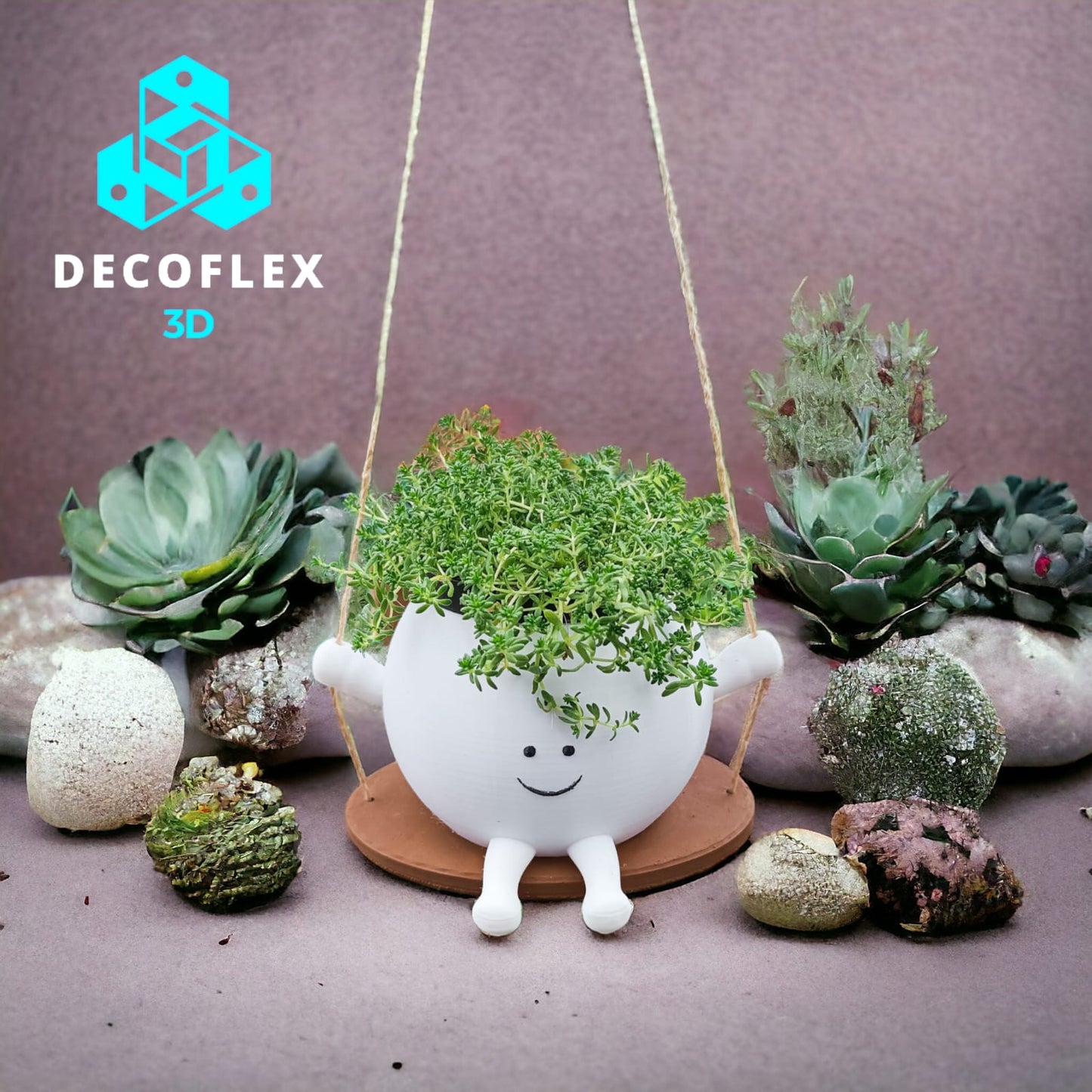 Maceta Decorativa Happy Pot Colgante