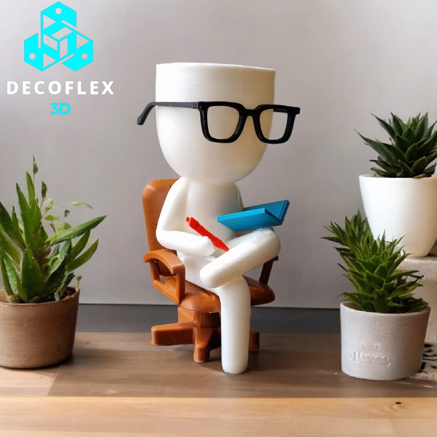 Maceta Decorativa DecoFlexito Psicologo