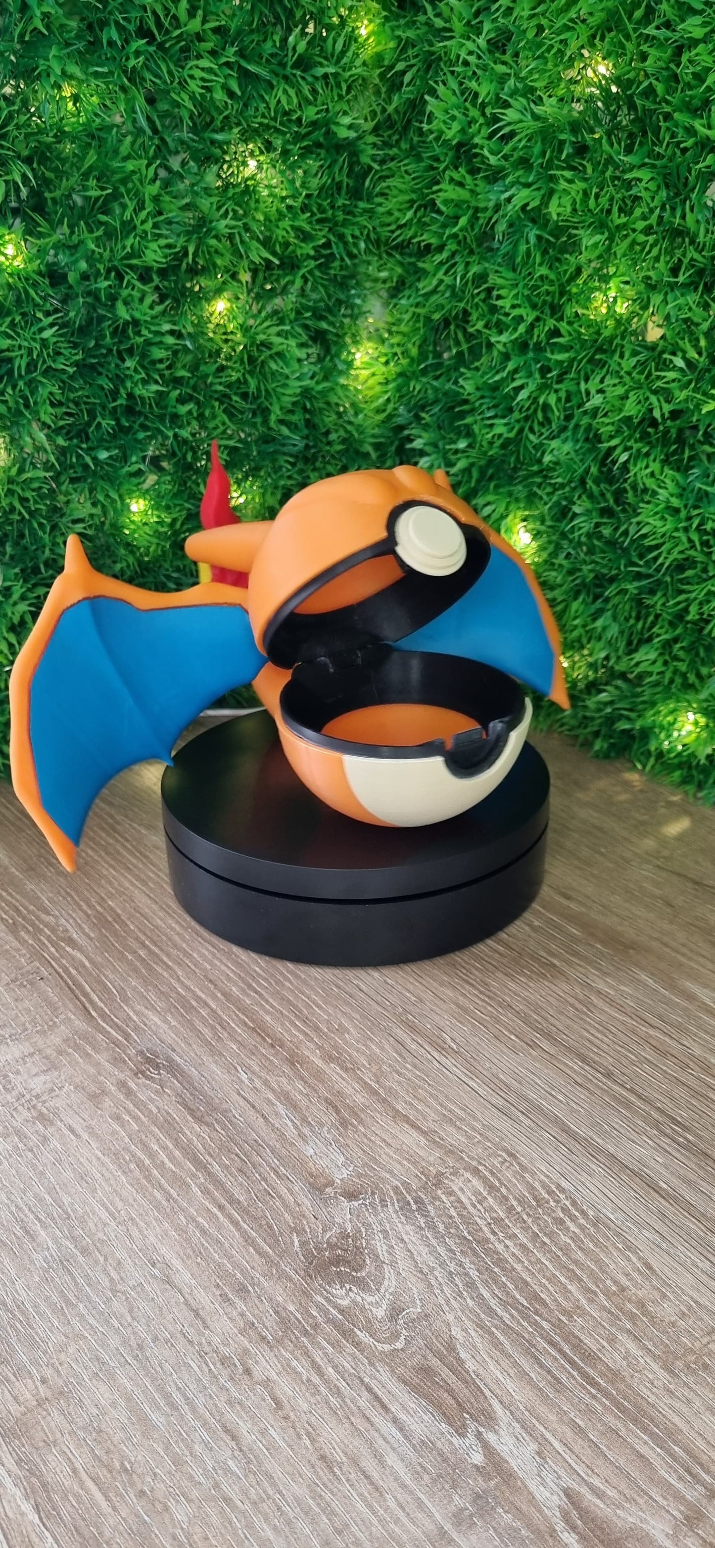 Pokebola Charizard