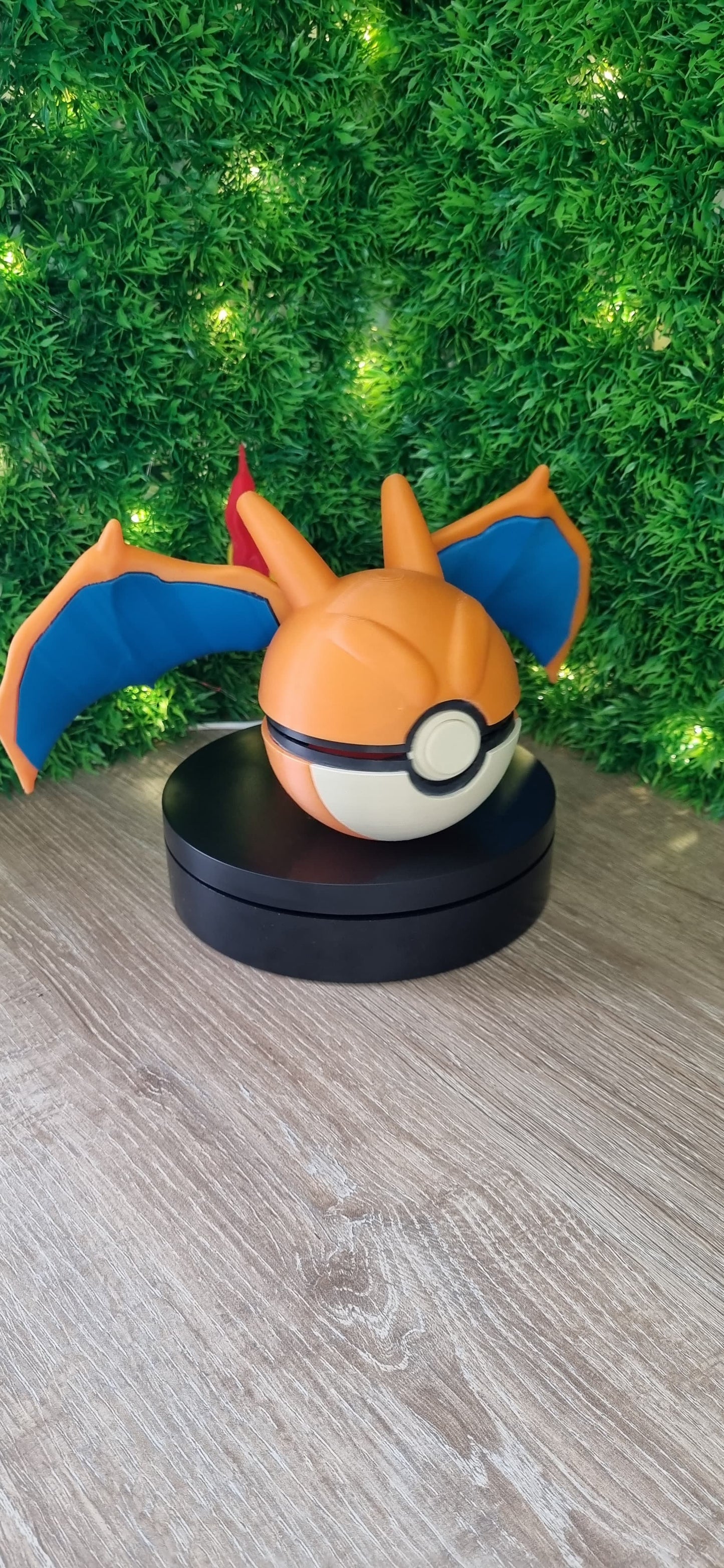 Pokebola Charizard