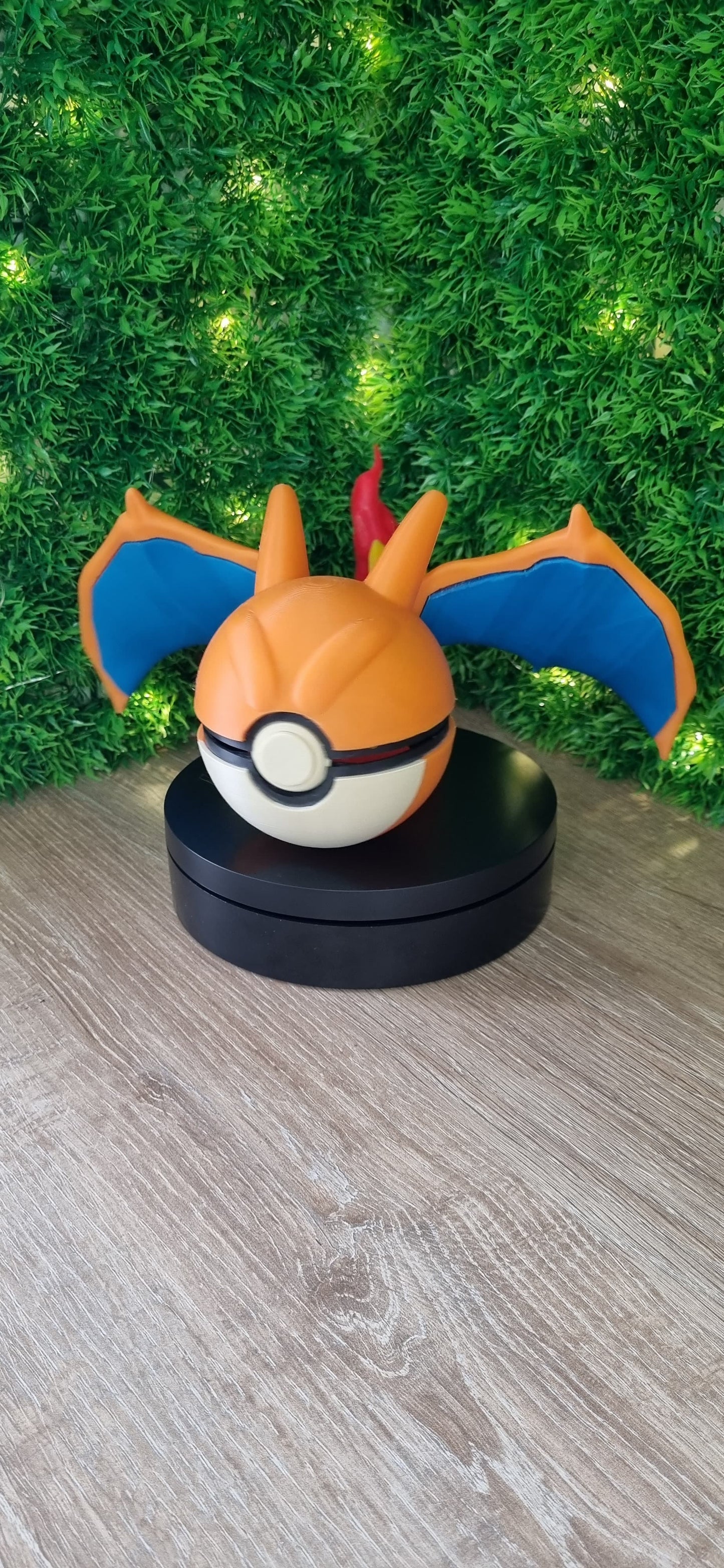 Pokebola Charizard