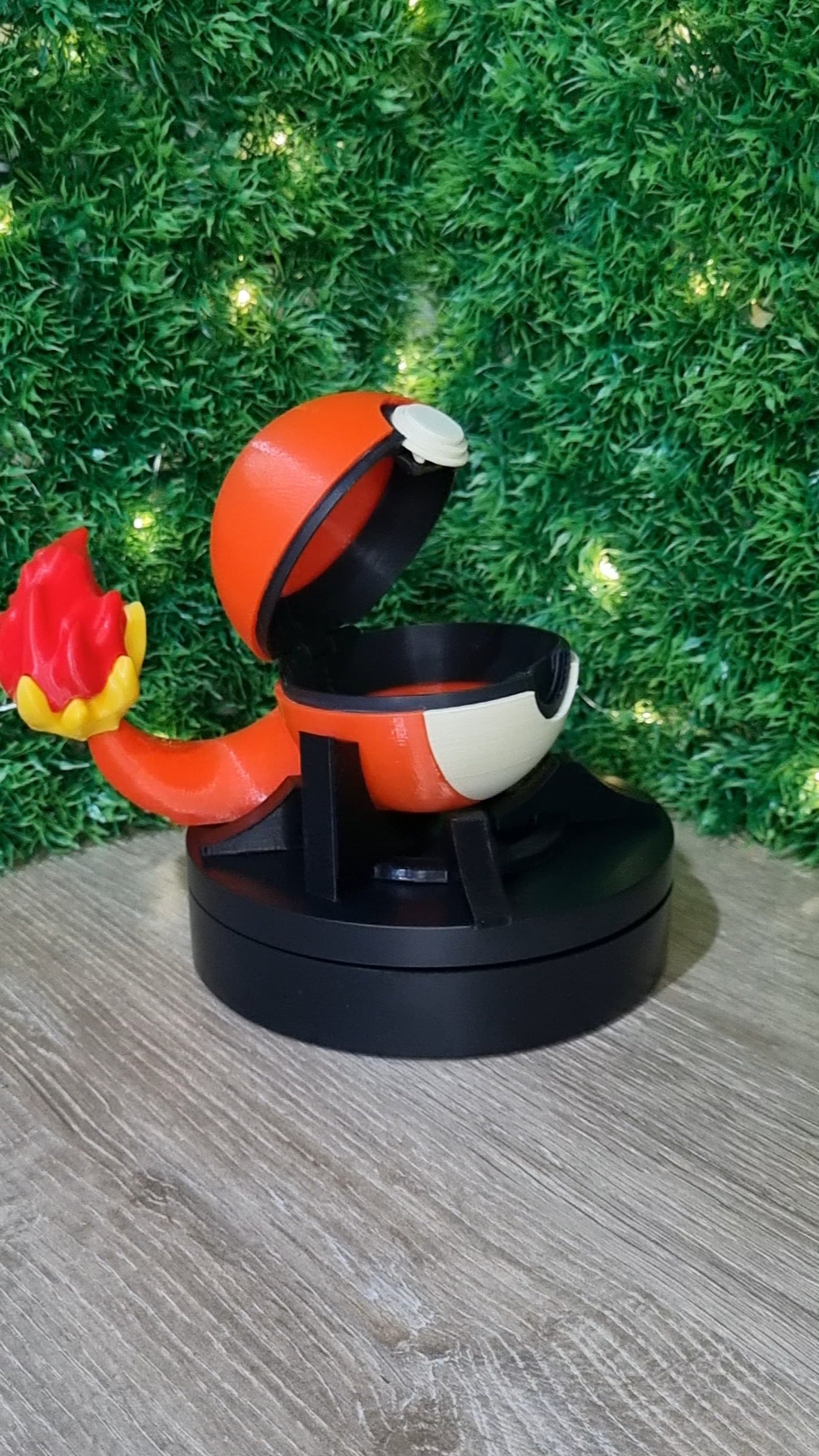 Pokebola Charmander + Pokemon + Base fija