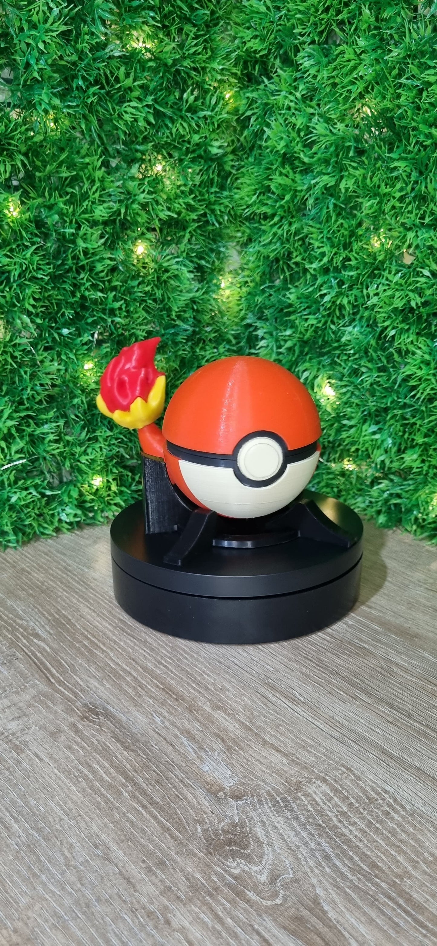 Pokebola Charmander + Pokemon + Base fija