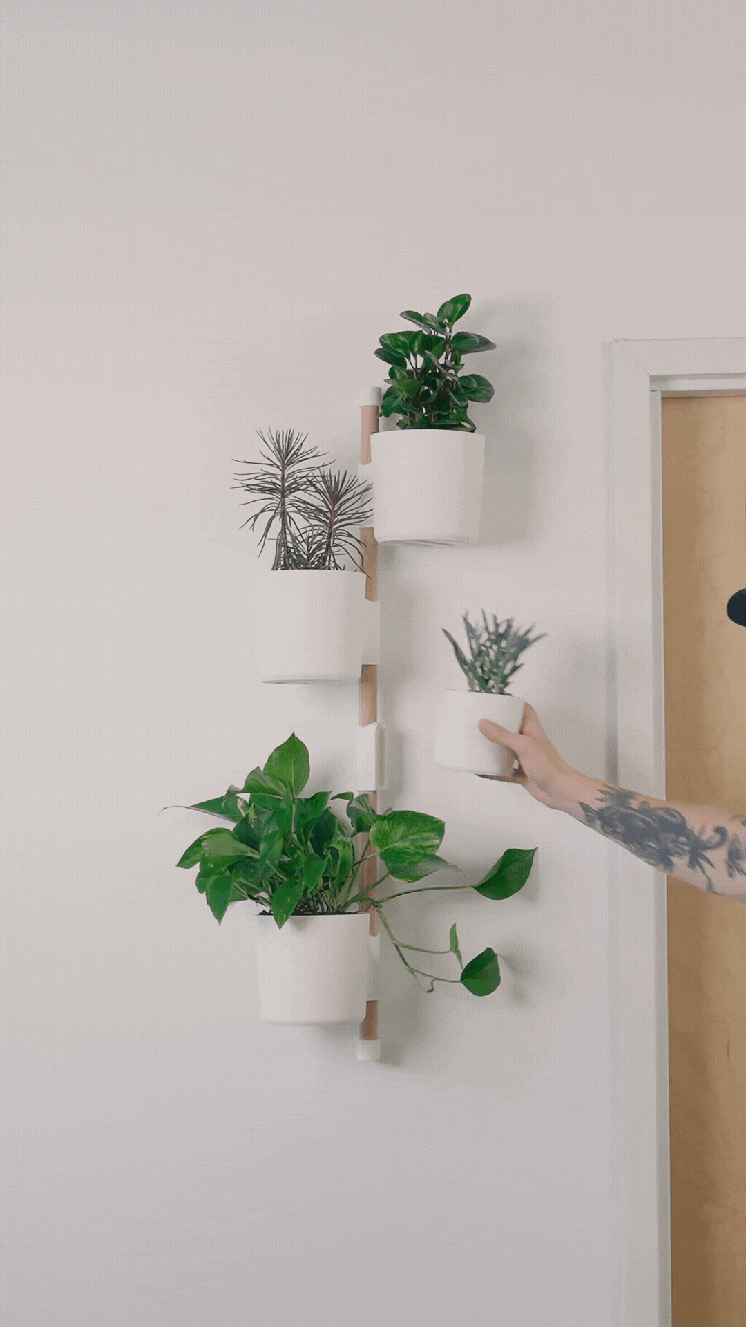 Combo Organizador de Pared con Macetas 3D