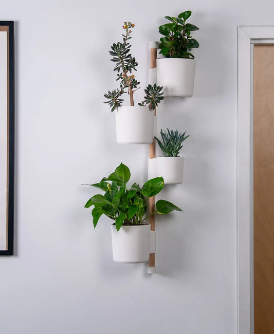 Combo Organizador de Pared con Macetas 3D