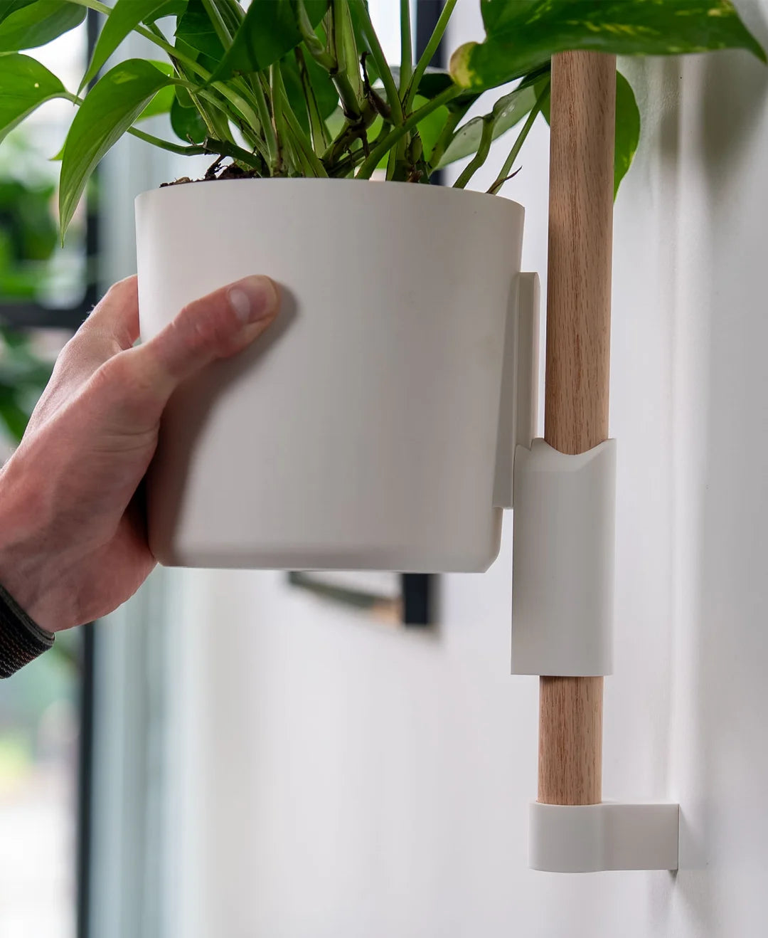 Combo Organizador de Pared con Macetas 3D