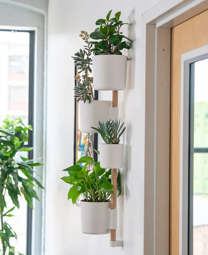 Combo Organizador de Pared con Macetas 3D
