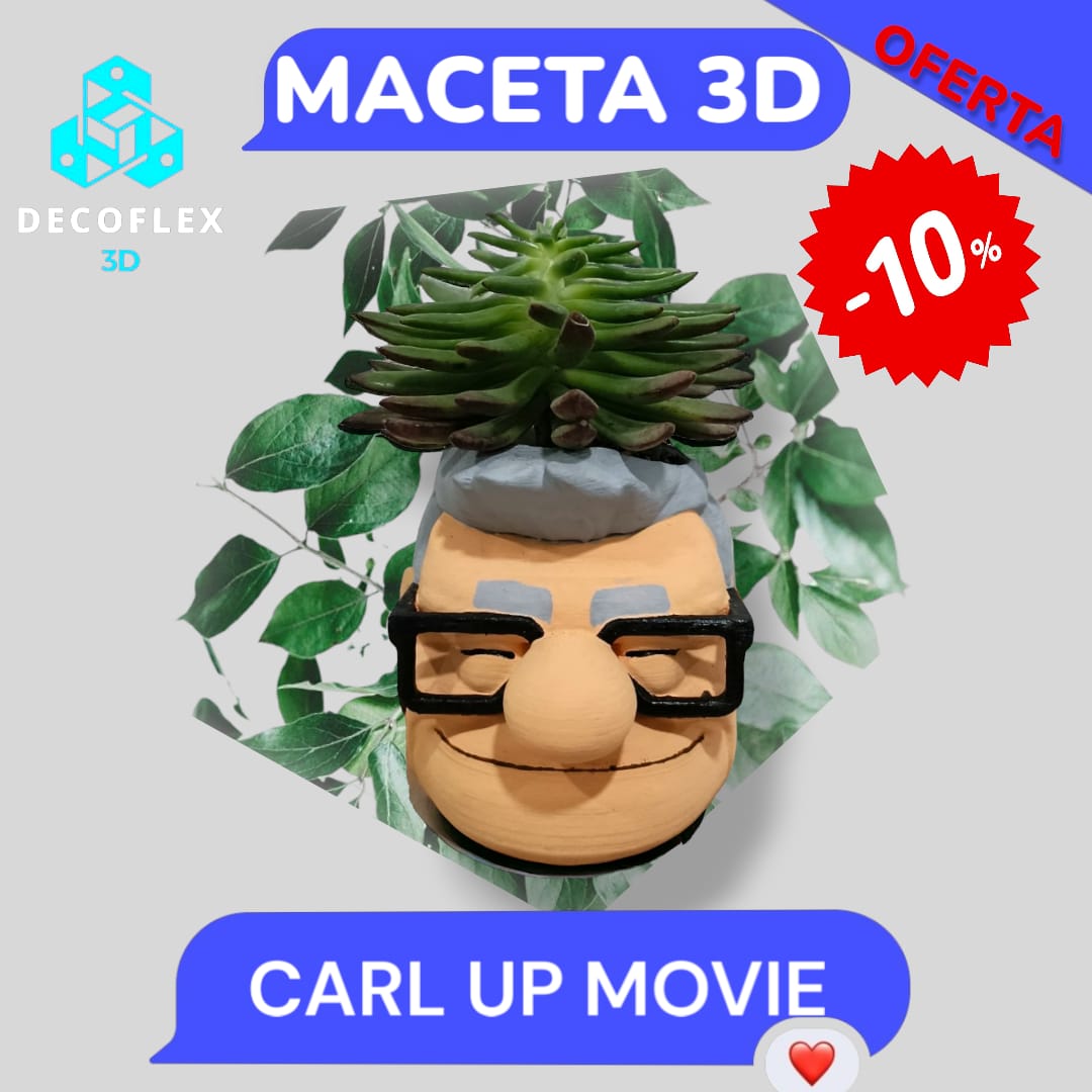 Maceta Decorativa DecoFlexito Carl Up Movie